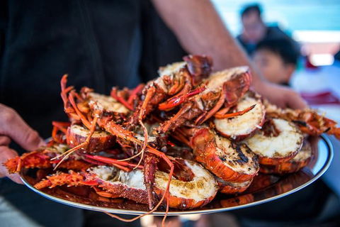 Mandurah Wild Seafood Adventure Cruise - Timeshare Accommodation 1