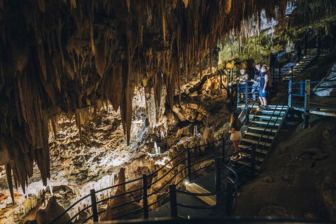 Ngilgi Cave Semi-guided Tour - Timeshare Accommodation 0