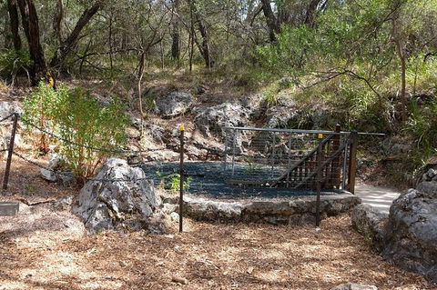Ngilgi Cave Semi-guided Tour - Timeshare Accommodation 7