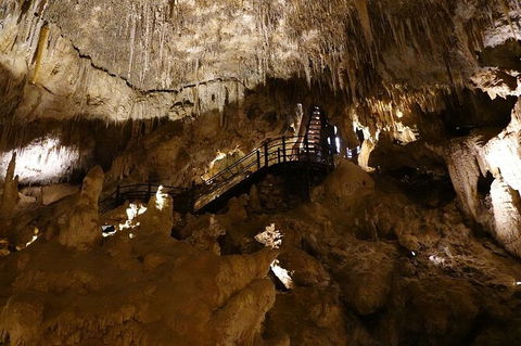 Ngilgi Cave Semi-guided Tour - Timeshare Accommodation 5