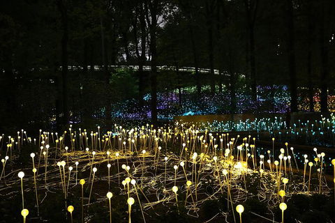 National Anzac Centre Field Of Light Panorama Pass - Timeshare Accommodation 0