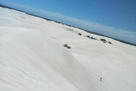 Yanchep & Lancelin - Wildlife, Cave And Sands - Timeshare Accommodation 3