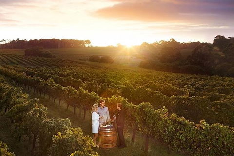 Leeuwin Estate: Food And Wine Experience - Timeshare Accommodation 0
