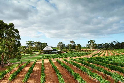 Vasse Felix Winery Tour And Tasting - Timeshare Accommodation 2