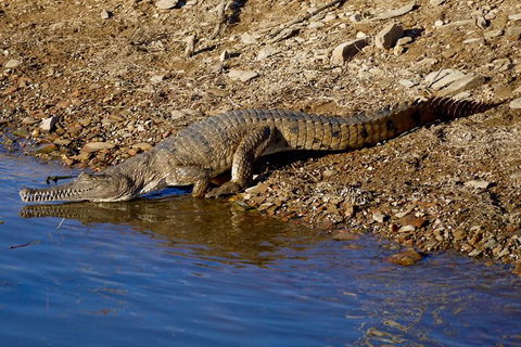 Lake Argyle Best Of Lake Argyle Cruise Departing Lake Argyle - Timeshare Accommodation 8