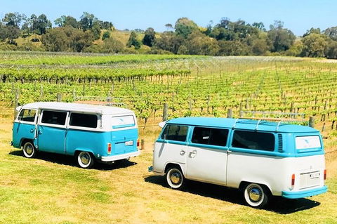 VW Kombi Wine Tour In The Swan Valley - Timeshare Accommodation 6
