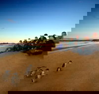 Phillip Island Ultimate Penguin Eco Tour or Skybox Experience - Timeshare Accommodation