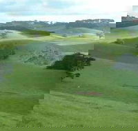 Day Tour of Phillip Island  Surrounding Region - Timeshare Accommodation