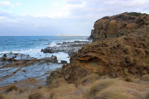 Day Tour Of Phillip Island & Surrounding Region - Timeshare Accommodation 11