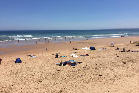 Day Tour Of Phillip Island & Surrounding Region - Timeshare Accommodation 7