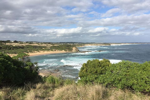 Day Tour Of Phillip Island & Surrounding Region - Timeshare Accommodation 10