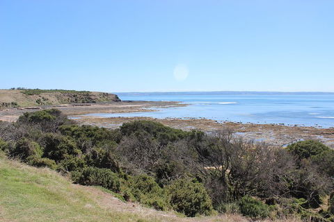 Day Tour Of Phillip Island & Surrounding Region - Timeshare Accommodation 2