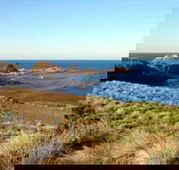 Phillip Island Walking  Bird Watching Tour - Timeshare Accommodation