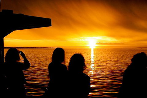Phillip Island Twilight Cruise - Timeshare Accommodation 1
