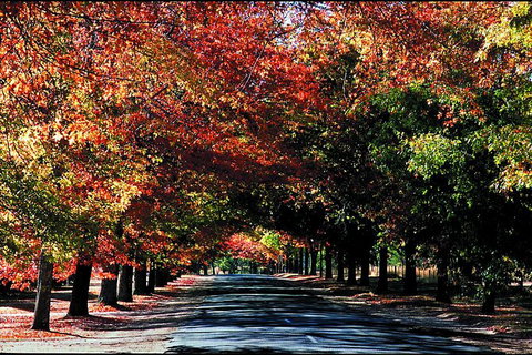 Macedon Ranges Small Group Wine Tour With 2 Course Lunch And Morning Tea - Timeshare Accommodation 3