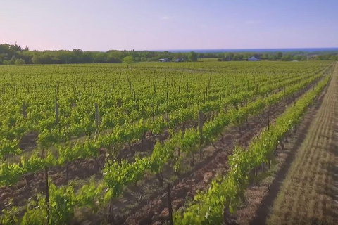 Macedon Ranges Small Group Wine Tour With 2 Course Lunch And Morning Tea - Timeshare Accommodation 5