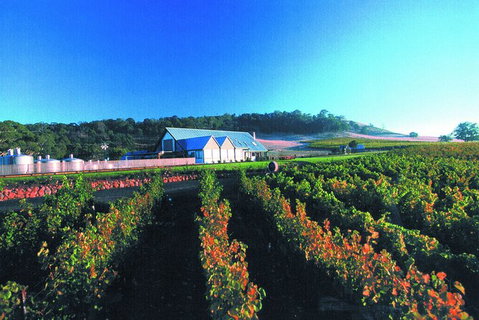 Macedon Ranges Small Group Wine Tour With 2 Course Lunch And Morning Tea - Timeshare Accommodation 4
