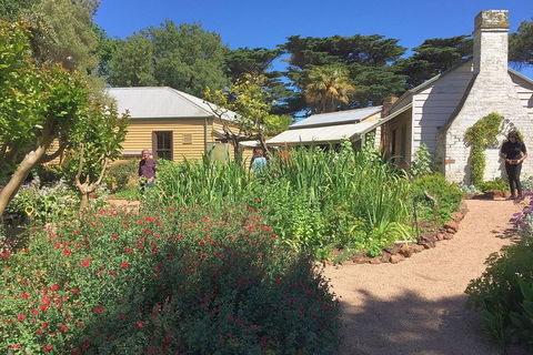 Phillip Island Tour Including Phillip Island Penguin Parade - Timeshare Accommodation 9