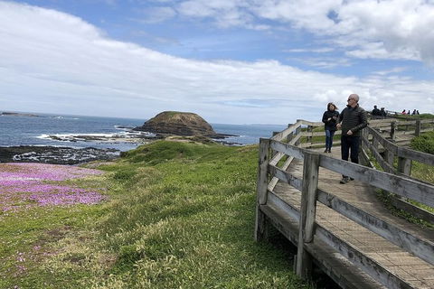 Phillip Island Tour Including Phillip Island Penguin Parade - Timeshare Accommodation 10