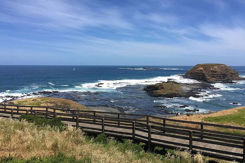 Phillip Island Tour Including Phillip Island Penguin Parade - Timeshare Accommodation 6