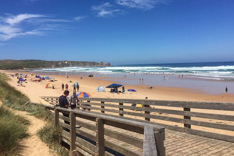 Phillip Island Tour Including Phillip Island Penguin Parade - Timeshare Accommodation 2
