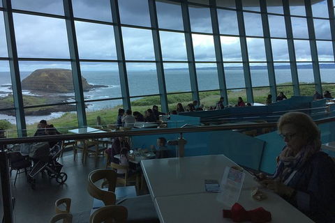 Phillip Island Tour Including Phillip Island Penguin Parade - Timeshare Accommodation 4