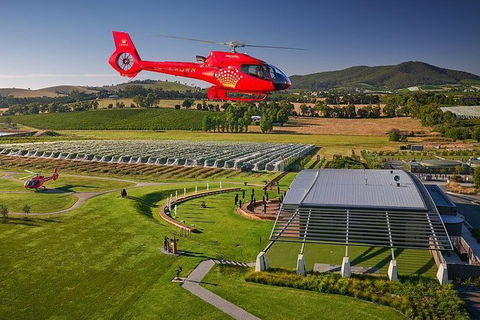 Yarra Valley Wine & Wildlife - Private Regional Tour - Timeshare Accommodation 6