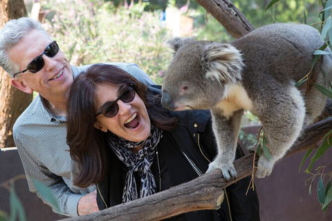 Yarra Valley Wine & Wildlife - Private Regional Tour - Timeshare Accommodation 3