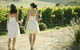 Yarra Valley Local Produce And Wine Tasting Tour - thumb 1