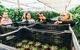 Yarra Valley Local Produce And Wine Tasting Tour - thumb 9