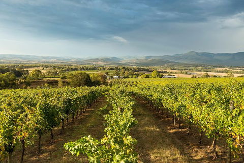 Yarra Valley Local Produce And Wine Tasting Tour - Timeshare Accommodation 4