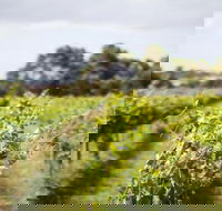 Phillip Island Wine Experience Tour - Timeshare Accommodation