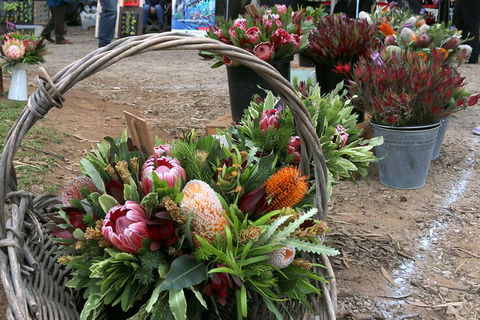 Mornington Peninsula Markets Shuttle By Boat From Phillip Island - Timeshare Accommodation 1