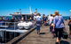 Mornington Peninsula Markets Shuttle By Boat From Phillip Island - thumb 8