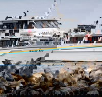Phillip Island Seal-Watching Cruise - Timeshare Accommodation