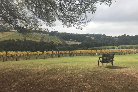 Rick's Wine Tours - Timeshare Accommodation 1