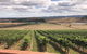 Yarra Valley - Shed Festival - thumb 0