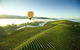 Yarra Valley Wine Tours For 24 Guests - thumb 0