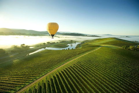 Yarra Valley Wine Tours For 24 Guests - Timeshare Accommodation 0
