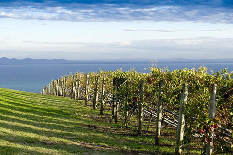 Around The Bay Food And Wine Taste Trail - Timeshare Accommodation 5