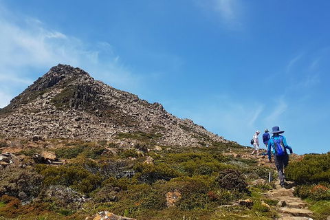 Hartz Peak Hiking Tour - Hartz Mountains National Park - Timeshare Accommodation 0