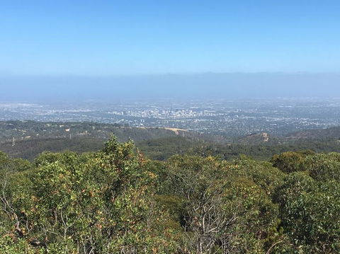 Adelaide Hills And Hahndorf Tour From Adelaide With Wine And Cheese Tasting - Timeshare Accommodation 8