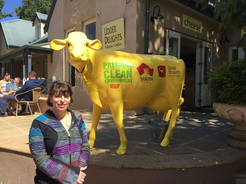 Adelaide Hills And Hahndorf Tour From Adelaide With Wine And Cheese Tasting - Timeshare Accommodation 2