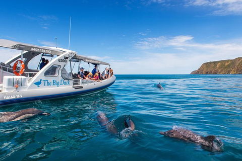 Victor Harbor And McLaren Vale Wine Region Day Tour - Timeshare Accommodation 6