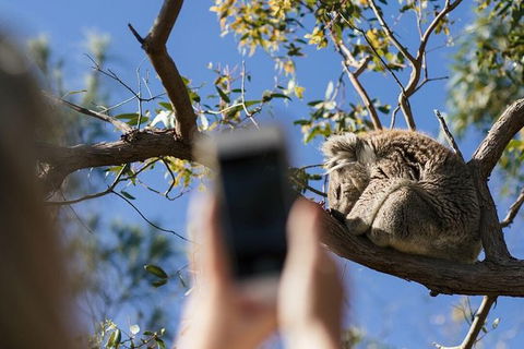 Exceptional Port Lincoln, Seafood And Wildlife Tour - Timeshare Accommodation 0