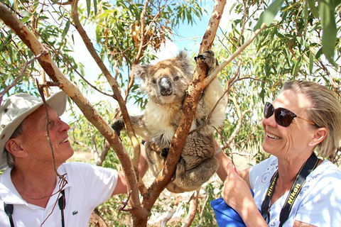 Exceptional Port Lincoln, Seafood And Wildlife Tour - Timeshare Accommodation 6
