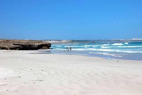 Exceptional Port Lincoln, Seafood And Wildlife Tour - Timeshare Accommodation 4