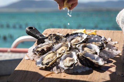 Experience Coffin Bay Short And Sweet Oyster Farm Tour - Timeshare Accommodation 0
