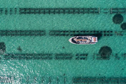 Experience Coffin Bay Short And Sweet Oyster Farm Tour - Timeshare Accommodation 1