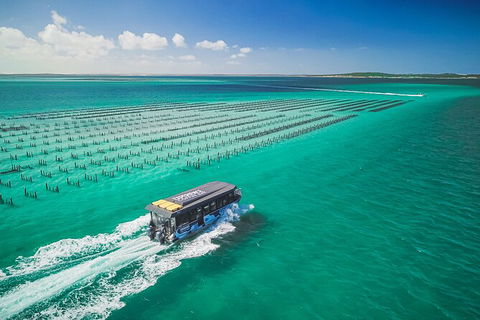 Experience Coffin Bay Short And Sweet Oyster Farm Tour - Timeshare Accommodation 2